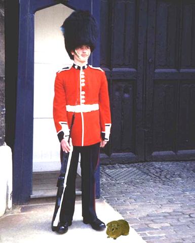 Rusty at the palace